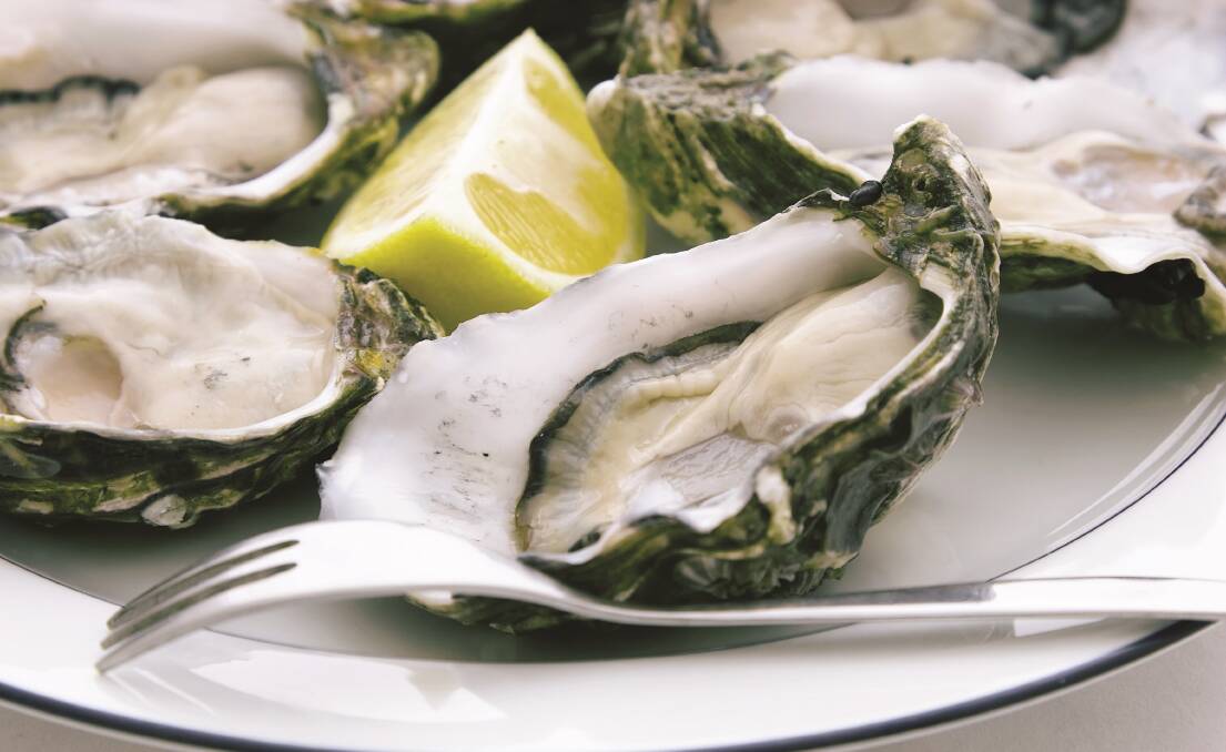 Oyster sales jumped 36pc in December, on the back of good retail demand, while restaurant orders have also returned. Photo: SHUTTERSTOCK