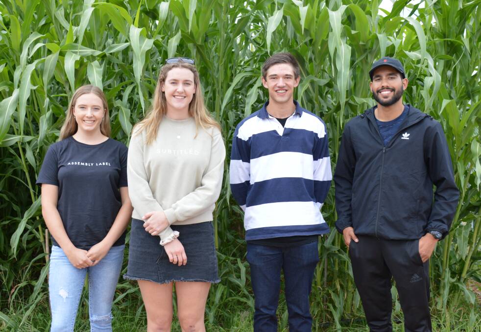 NEW FACES: Incoming students Tayla Blight, Bridgewater, Annabel Porter, Jamestown, Brett Krieg, Karoonda, and Deepak Atwal, Renmark, check out a trial of forage sorghum. 