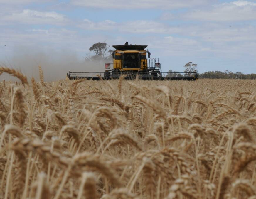 The SA 2023-24 harvest has defied expectations. File picture