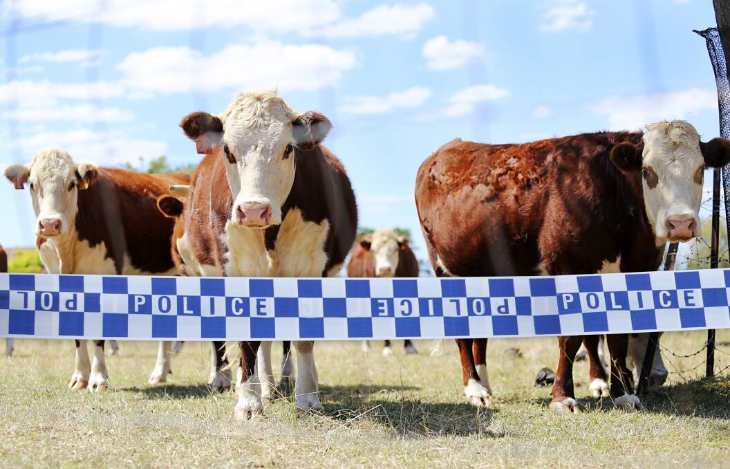 A SAPOL-Crime Stoppers partnership is targeting rural crime in the South East. Picture digitally altered by ACM