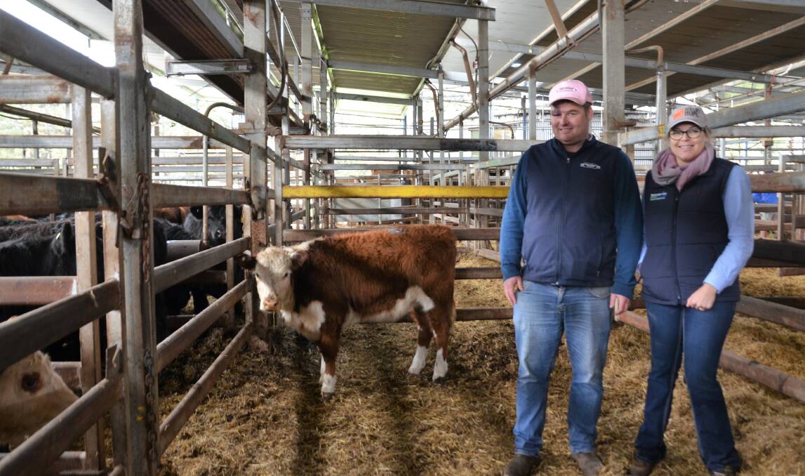Pro Stock Livestock's Daniel Sugars and Herd of Hope founder Megan McLoughlin at the Mount Compass saleyards, where heifer calves were sold.