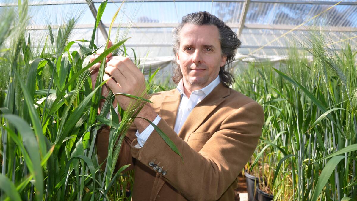 GROWING FIELD: University of Adelaide's Agricultural Science department head Jason Able said there has been a gradual lift in the popularity of the industry.