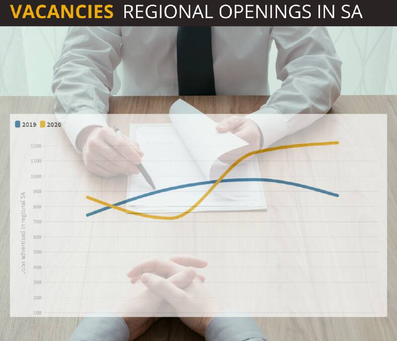 WORKERS WANTED: The trend of job advertisements in 2019 (blue) and 2020 (yellow) for regional SA, with demand on the rise. Image: SHUTTERSTOCK