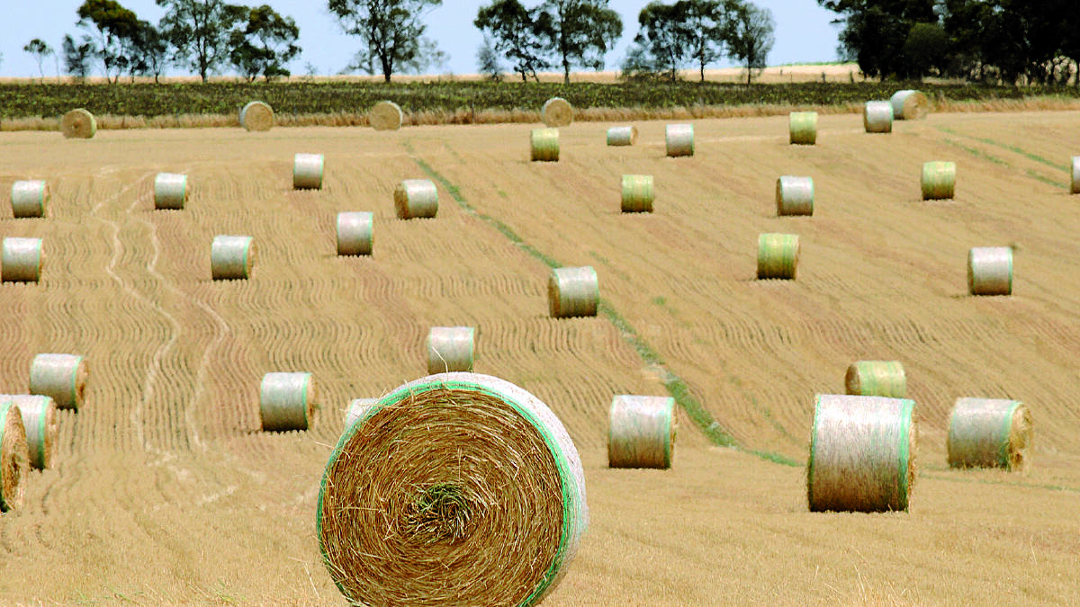 Can more be done to ease fodder transport costs?