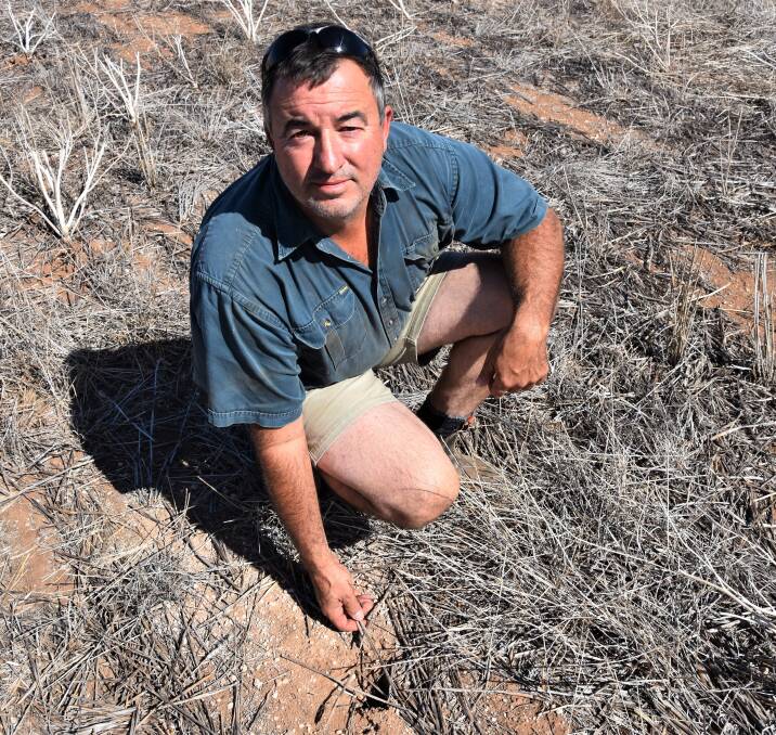 MOUSE HUNT: Paul Lush has been on the lookout for signs on mice on his property between Mallala and Stockport.
