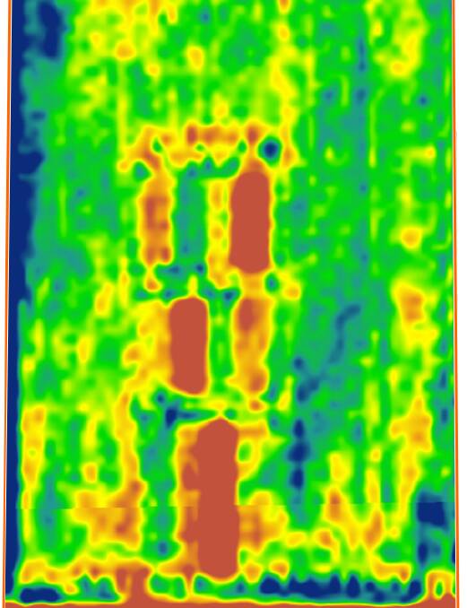 COLOUR: NDVI tests can show the variability within a paddock.