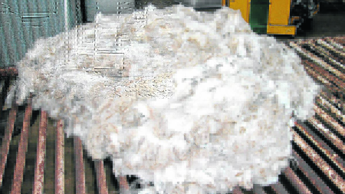 Wool production forecasts drop