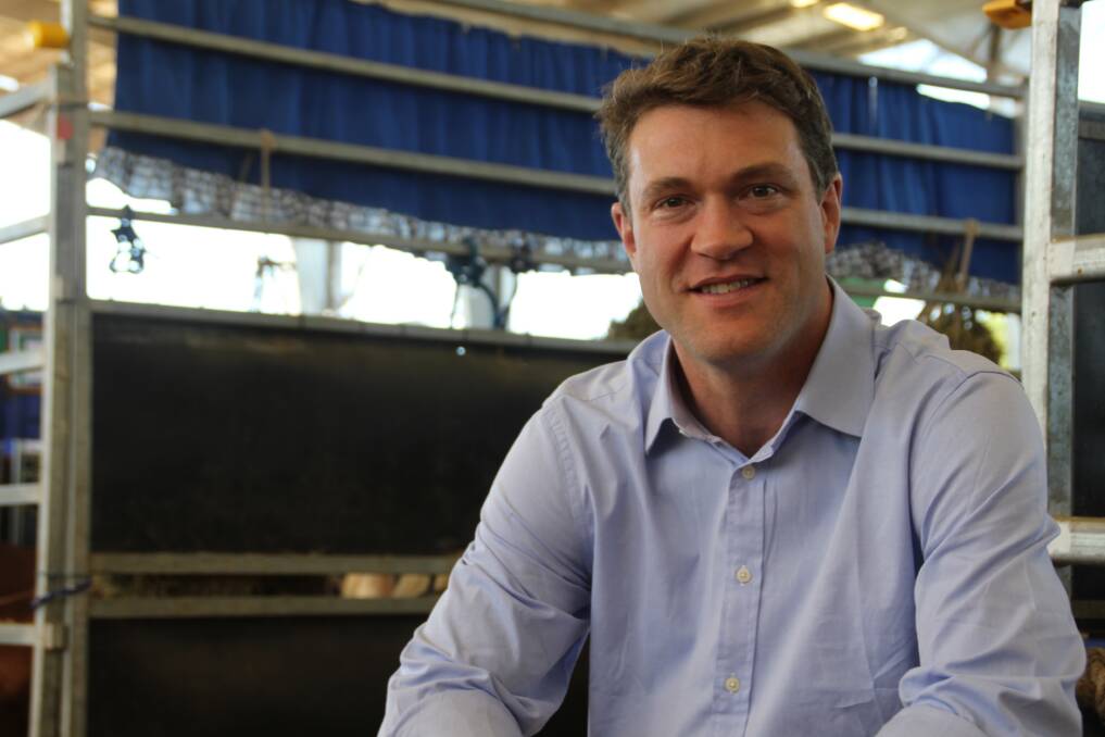 PRICE PREDICTIONS: Rabobank senior animal protein analyst Angus Gidley-Baird says prices in the upcoming season will be very responsive to seasonal conditions, with rain likely to see prices jump as much as 20pc.