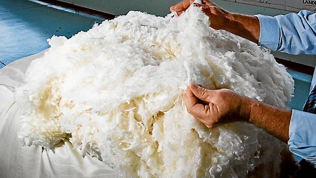 Where will wool prices be in six months time? | POLL