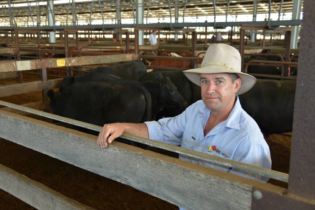 BUYING OPPORTUNITIES: Southern Australian Livestock livestock sales agent Will Nolan said lower prices offered buying opportunities but few people were willing to take a chance due to seasonal uncertainty.