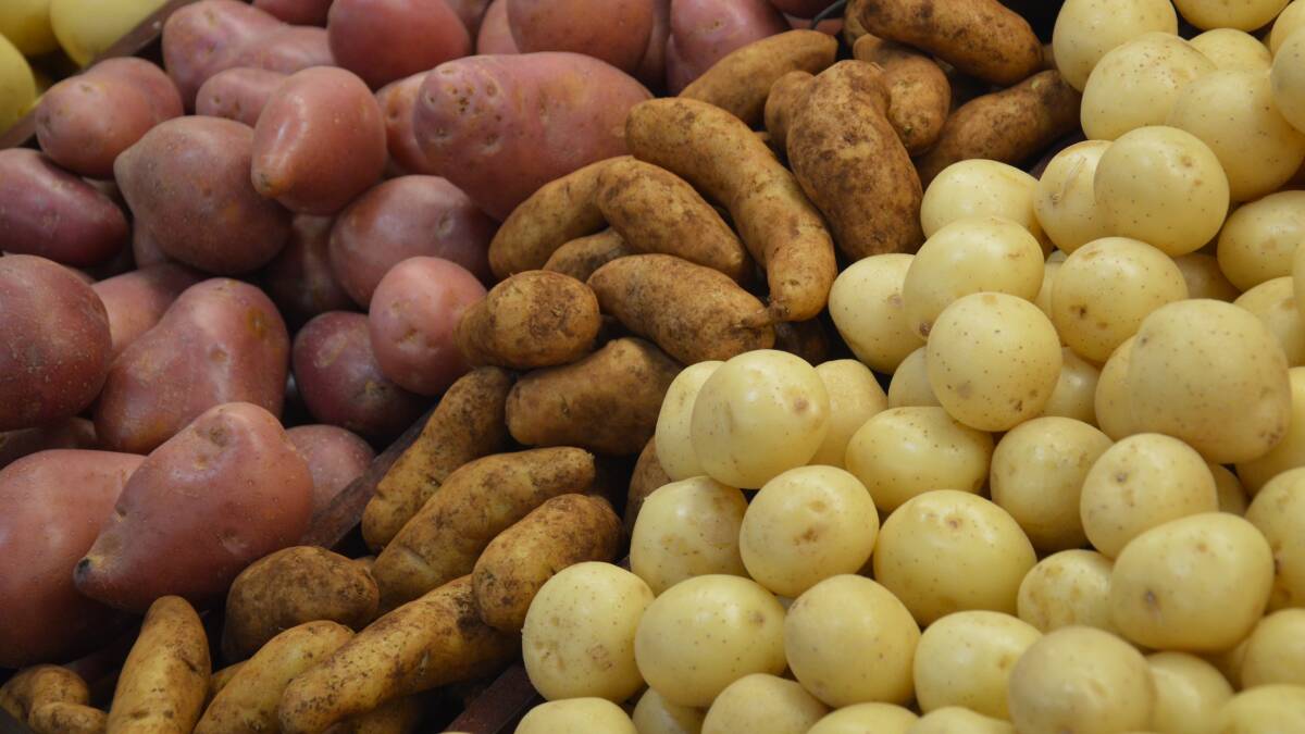 Potato waste supports new industry