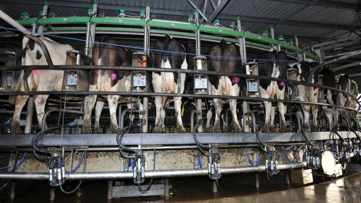 Dairy planning to receive support