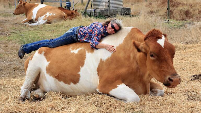 HELPING HOOVES: The 186cm Big Moo, and owner Jo Vine, Glencoe, have put the steer's fame to a charitable cause.