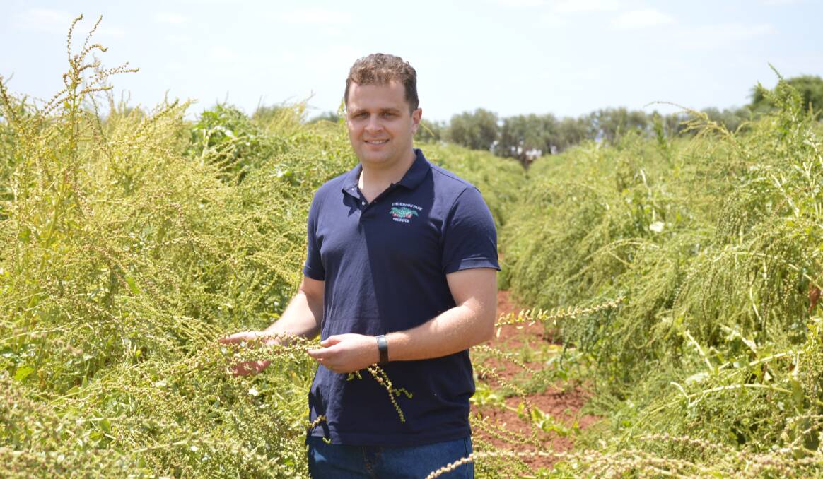 SA bunchline grower Anthony de Ieso, pictured in some spinach ready to be harvested for seed, was among those who shared his industry insight in the Horticulture career videos.