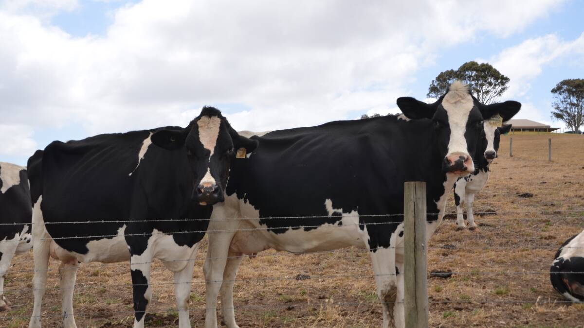 SA milk production bucks national trend