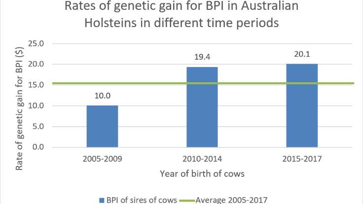 Aust dairy herd genetics gain quickly