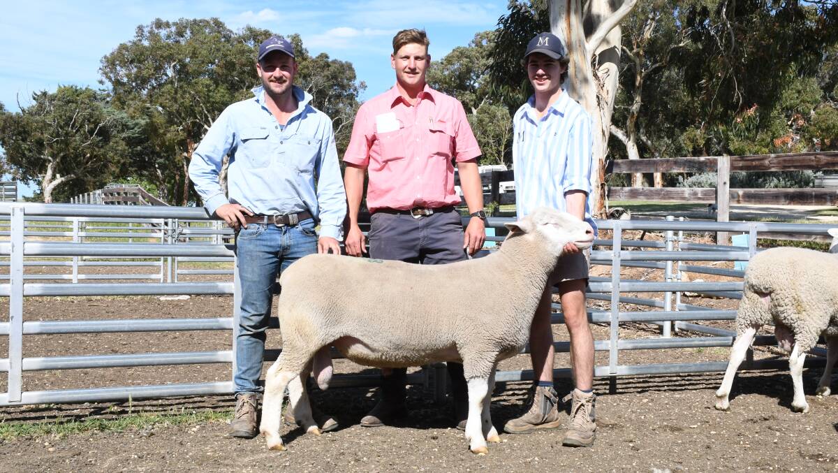 Pictured with one of the $2800 Poll Dorsets is Nick Cane, Carcoola Pastoral, Lucindale, Elders' Scott Christie and Morton's Jack Davidson. Picture by Quinton McCallum