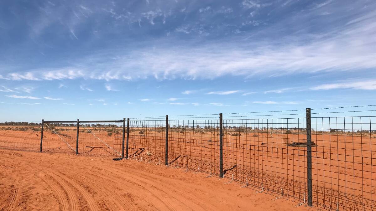 The first completed section of the SA Dog Fence repairs. Photo: SUPPLIED