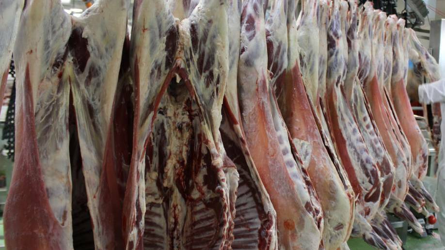 Strath abattoir gains approval for reopening