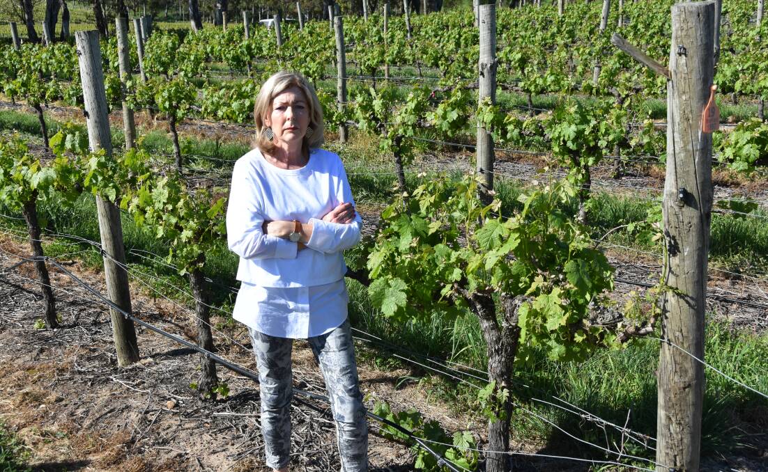 UNDERMINED: Winery owner Judy Kelly, Woodside, says mining has its place but should be kept out of prime agricultural land.