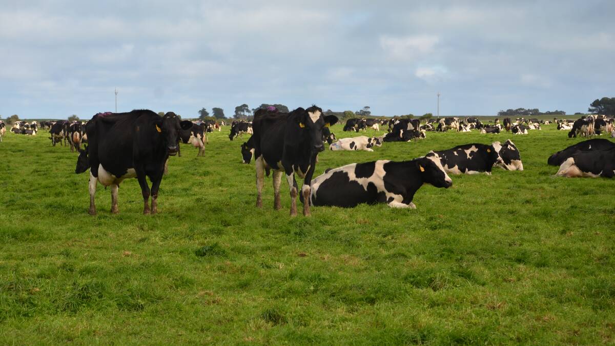 Dairy industry sets date on routine calving induction phase out