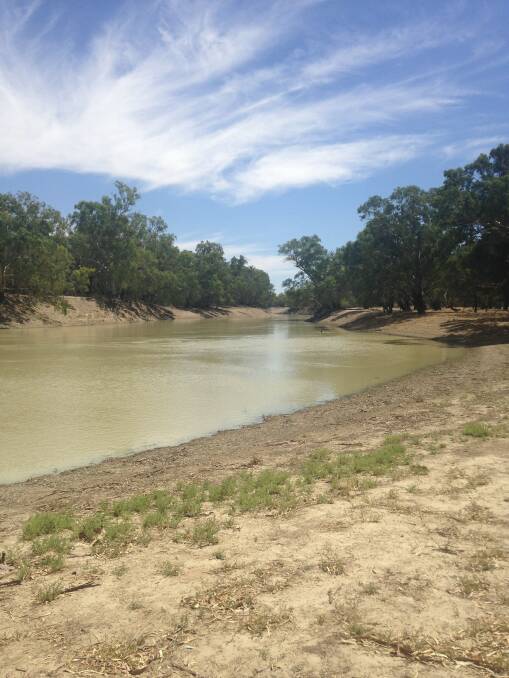 Water from the Darling River are expected to meet the River Murray mid-way through this month.