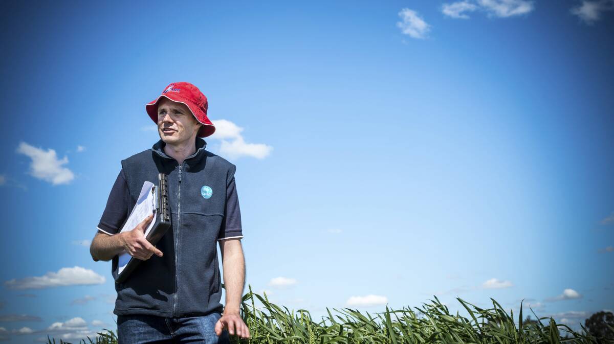 PLAN AHEAD: Agricultural scientist James Hunt encourages growers to manage summer weeds at the three to five leaf stage using herbicides at registered label rates, as herbicide efficacy is generally highest when summer weeds are young and actively growing. Photo: NICOLE BAXTER