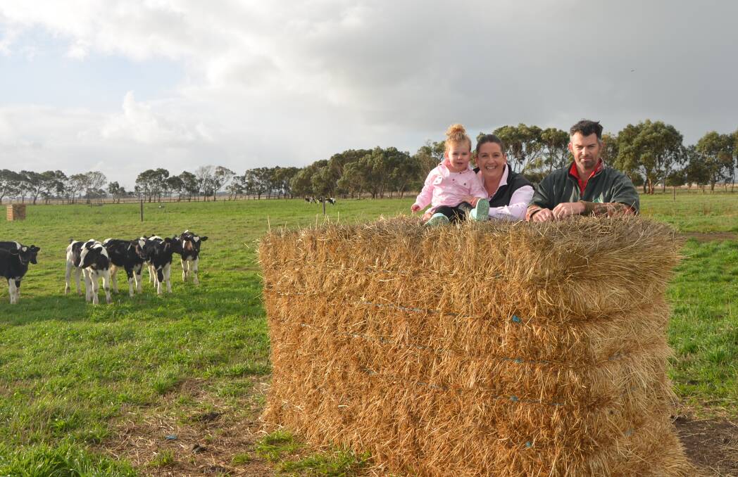 FUTURE PLANNING: Jen and Don Stolp, and daughter Aurora, Kongorong, with some of their calves. They are looking to develop a young herd with good milk quality.
