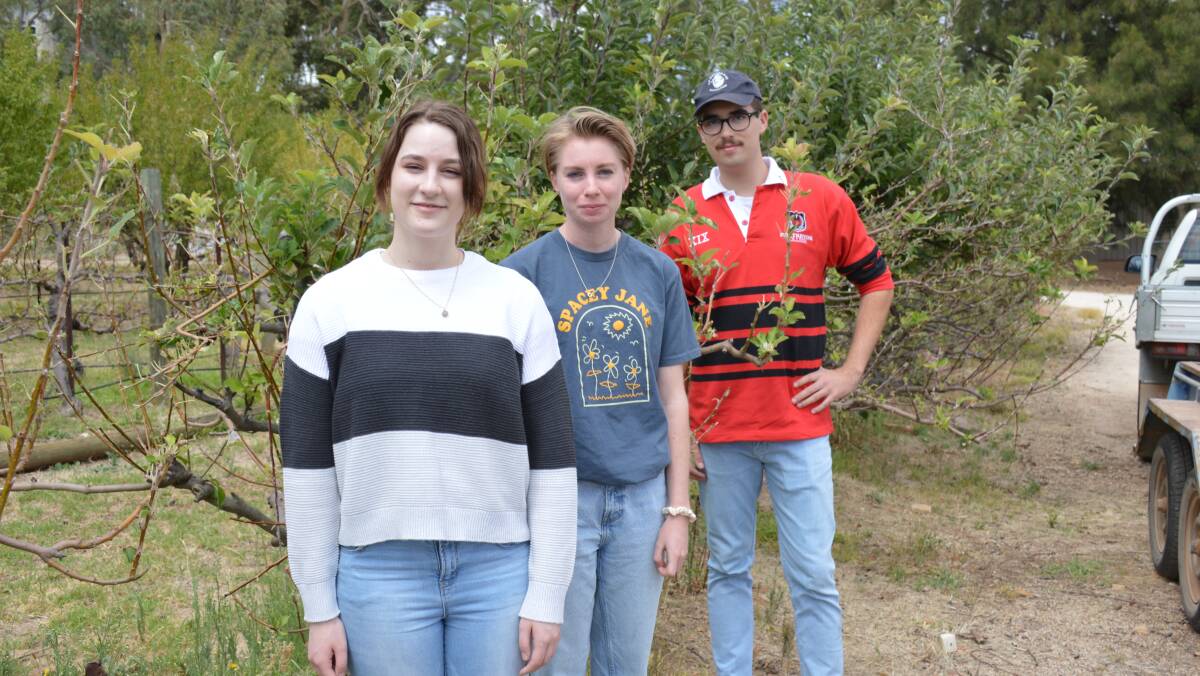 NEXT CROP: Incoming agricultural students Keely Bryars, Wistow, Anna Bebee, Ashton, and Patrick Fleming, Taringi, in the University of Adelaide orchard. 