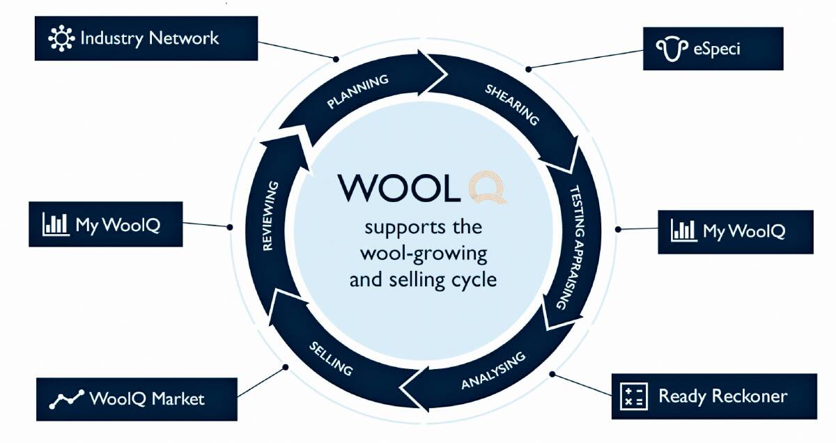 TRANSACTIONS: The AWI WoolQ system has been used to hold 17 electronic sales.