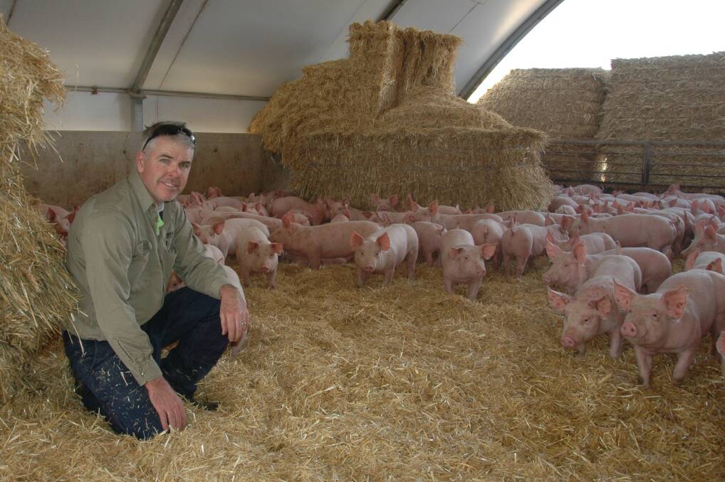 LOCAL ADVANTAGE: PorkSA chair Mark McLean says reduced supply of imported pork products could make locally-raised pigs more cost-competitive in retail shops.
