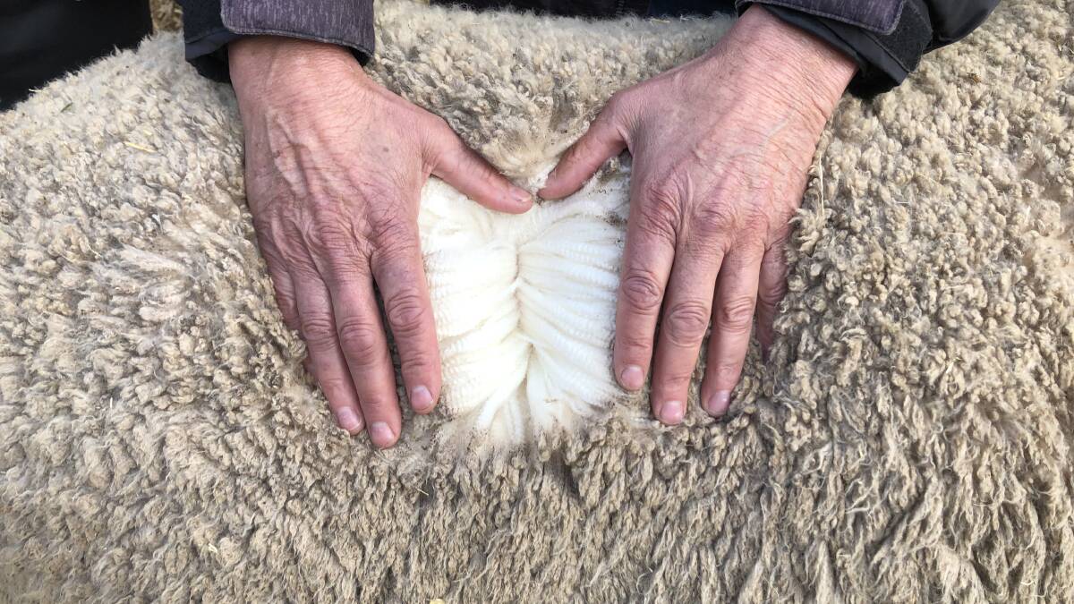 Are people easing back on Merinos as wool market dips?