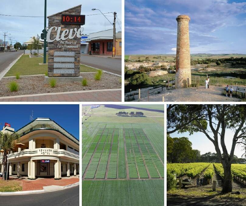FINAL FIVE: Clockwise from top left: The Cleve sign in the main street, the Kapunda mine, Langhorne Creek vineyards, the cropping trial at Millicent and the Renmark Hotel. These five towns will be vying for the inaugural title of SA Ag Town.