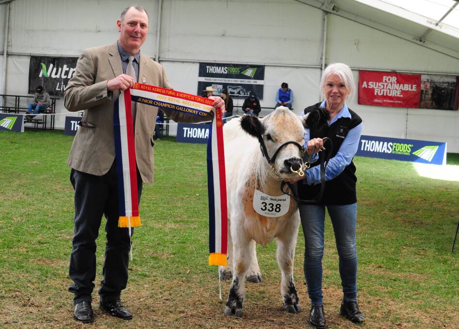 Judge Scott McKay, Newlyn, Vic, with Galloway champion female Karandrea Topsy, shown by Judy McCallum. Picture by Katie Jackson