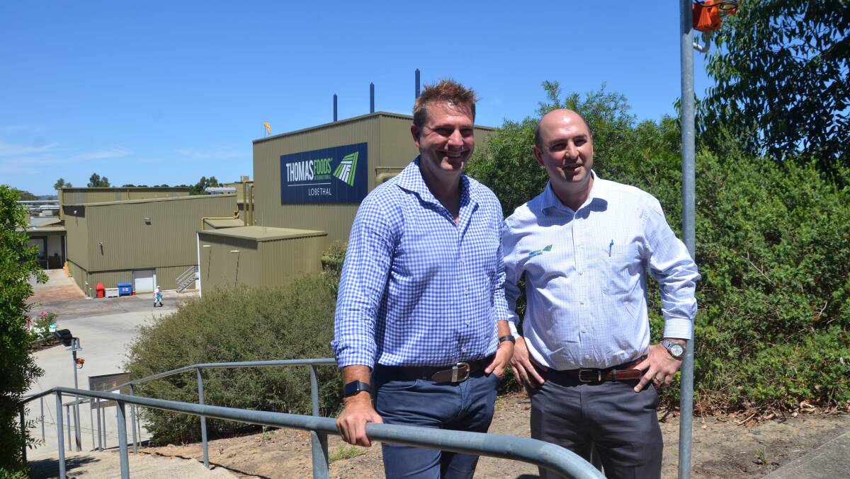 Back to work: Chief executive officer Darren Thomas and chief operating officer David McKay visit Thomas Foods International's Lobethal meat works. Photo: PERI STRATHEARN