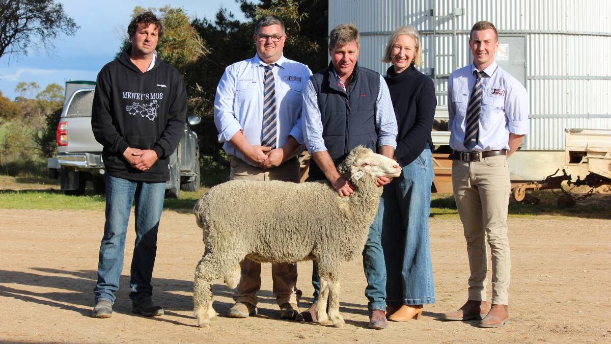 SA's top 10 Merino ram sales highlighted in 2023