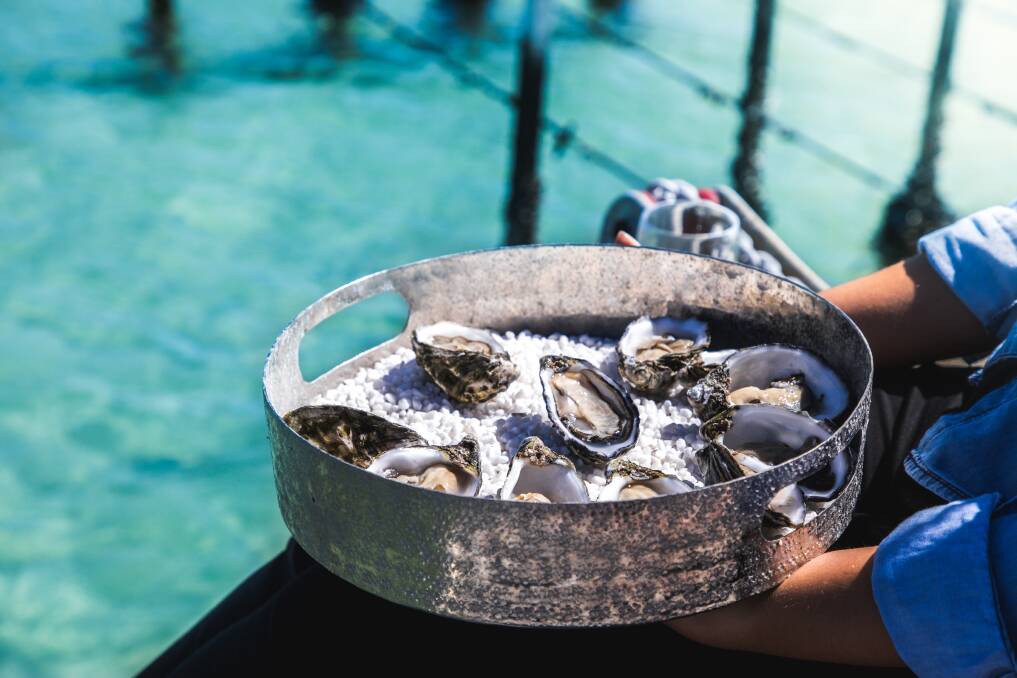 TASTY DELICACY: Grown on ocean outcrops, the Eyre Peninsula oyster population is raised in pristine waters, isolated from estuary and farming run-off.