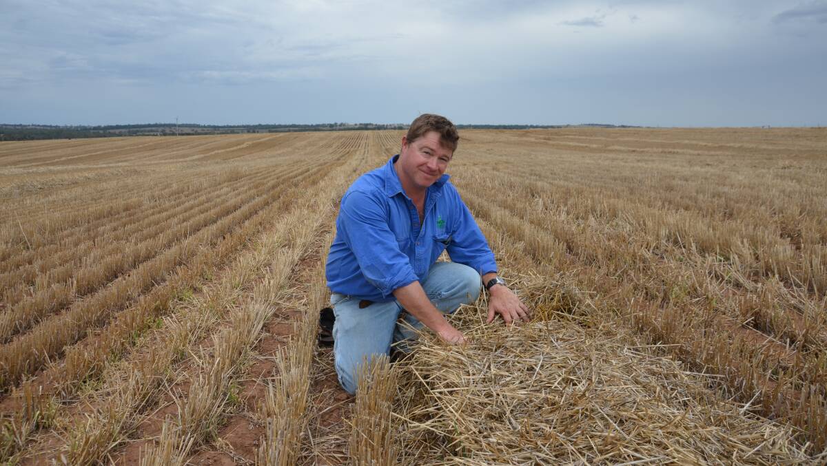 TEST NEEDED: Grain Orana Alliance CEO Maurie Street says growers need to assess any spray job that does not achieve the expected results. Photo: GRDC