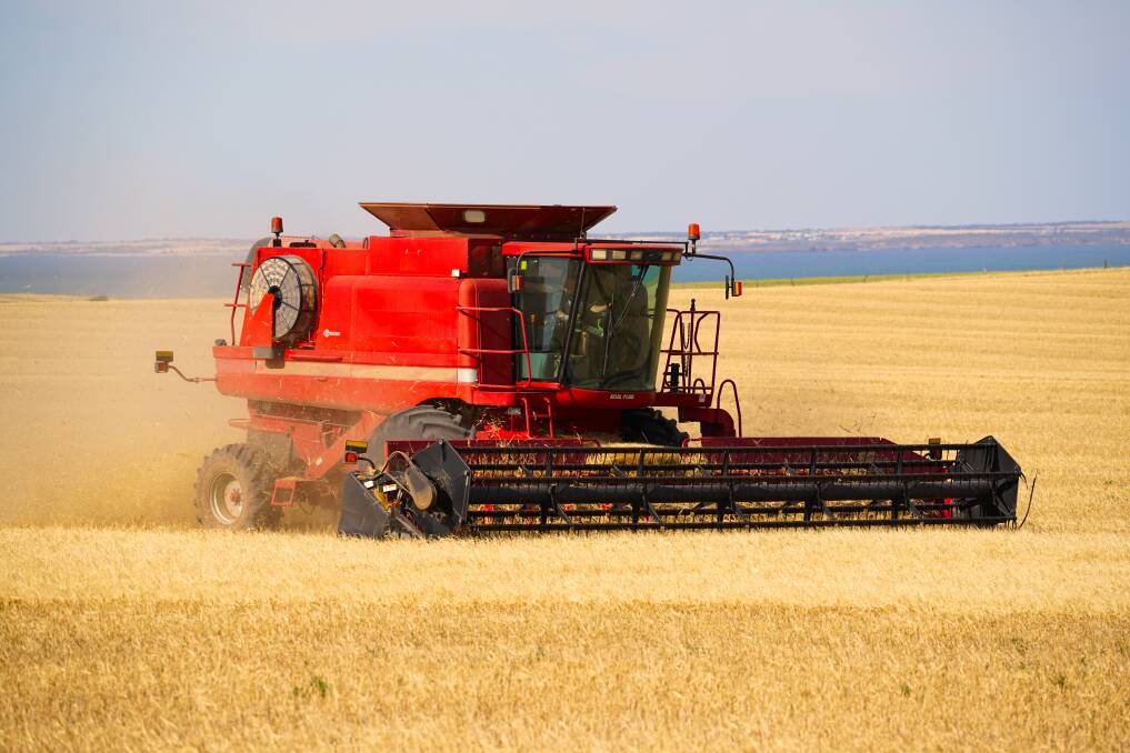 LATE BOOST: Despite a late start to the season, the Eyre Peninsula is expected to have an above average harvest this year. Photo: SHUTTERSTOCK
