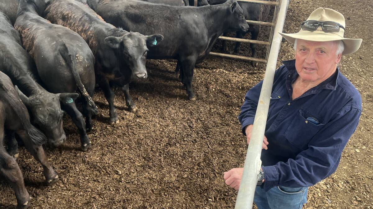 Duncan Newcomen represented Barry King, Bardon Park, Glenburn, who sold 80 mixed-sex Angus cattle at the Nutrien Yea weaner sale.