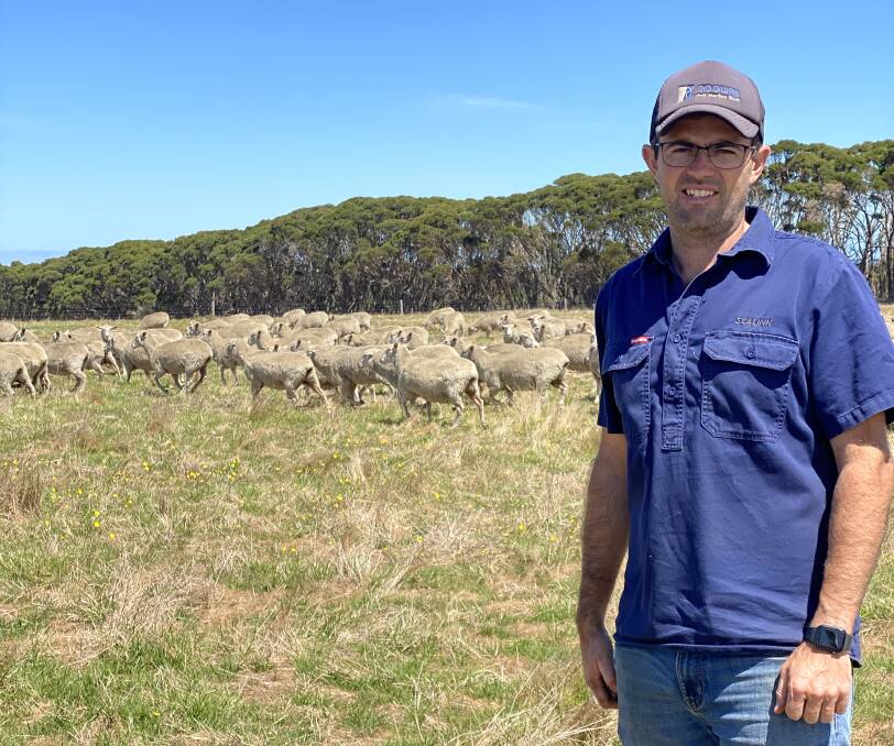 Hunt for healthy soil: Adam Buick with first cross ewes on his Kangaroo Island farm. 