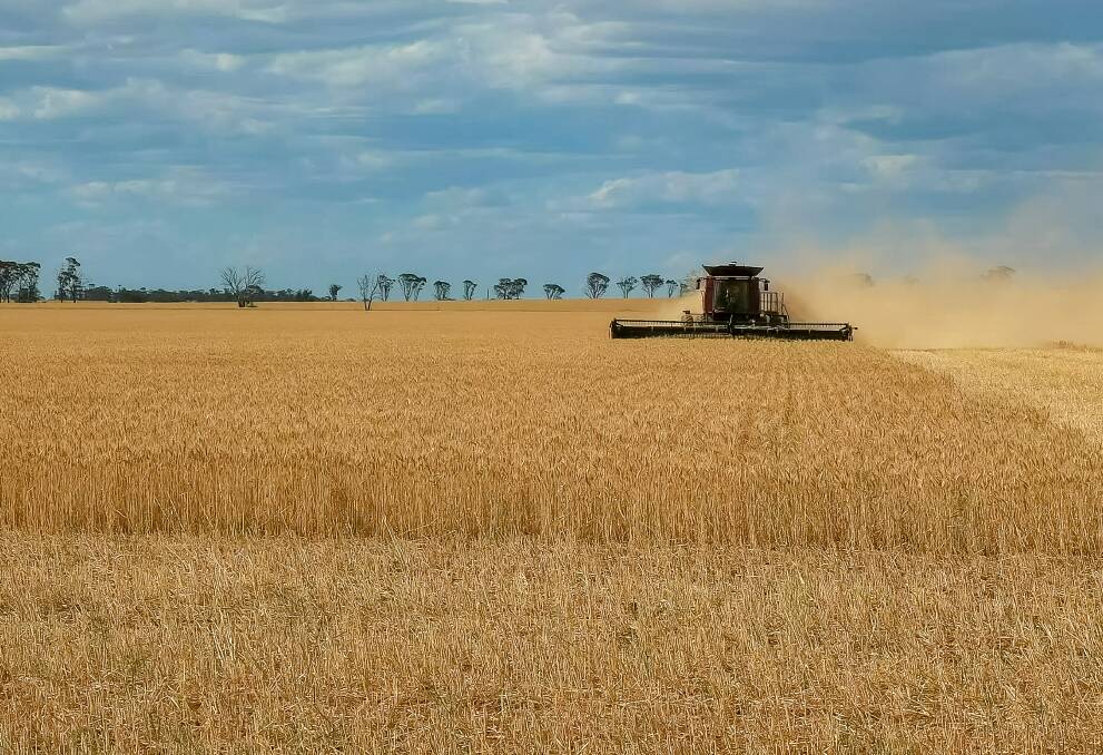 Weather, prices and production: what to expect this harvest