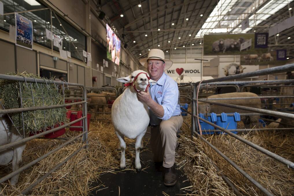 PIONEER BREEDER: Graham Gilmore and his late brother, Martin, developed a new prime lamb breed, the Australian White, on their Tattykeel stud at Oberon, NSW. 
