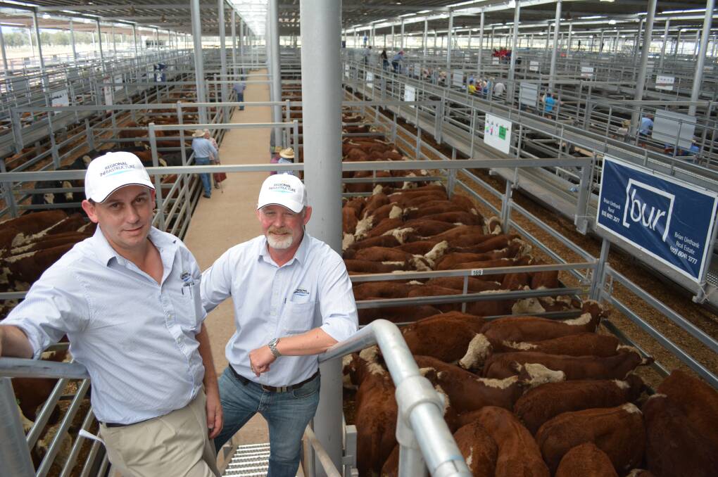 TOUGH LOVE: Garry Edwards (pictured left with AAM Group colleague Andrew McCarron), said people who flout new coronavirus rules at the company's network of saleyards could be barred from facilities. 