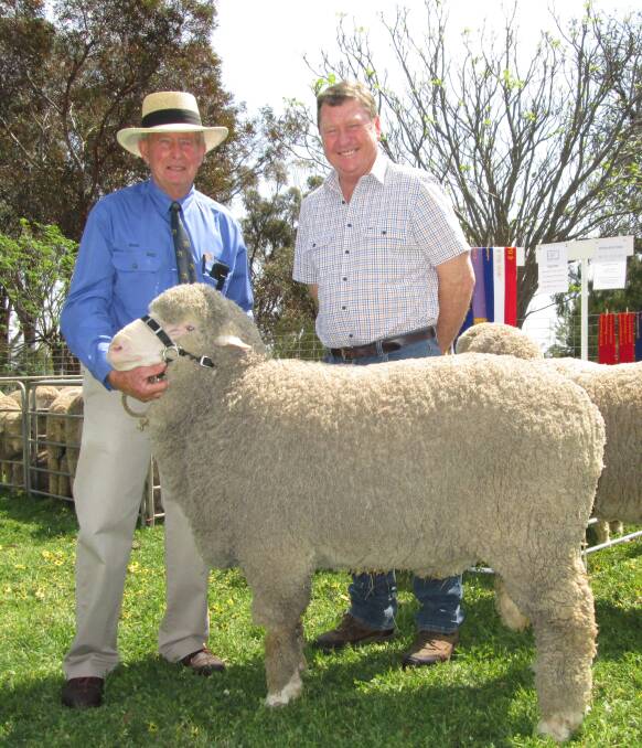 TWO TOP DESMONDS: Ross Wells with his impact Poll Merino sire, Willandra Desmond, with Desmond McRae, the Jerilderie vet who treated the ram for a potentially serious illness when he was a lamb. 