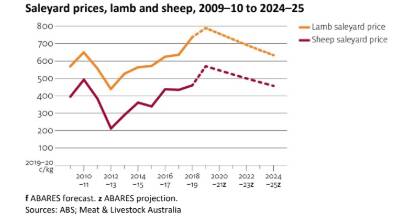 Lamb and mutton prices will peak this year says ABARES
