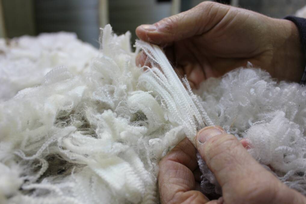 NOT FEELING FINE: The wool market continued to track down when sales resumed in Melbourne and Fremantle on Tuesday. 
