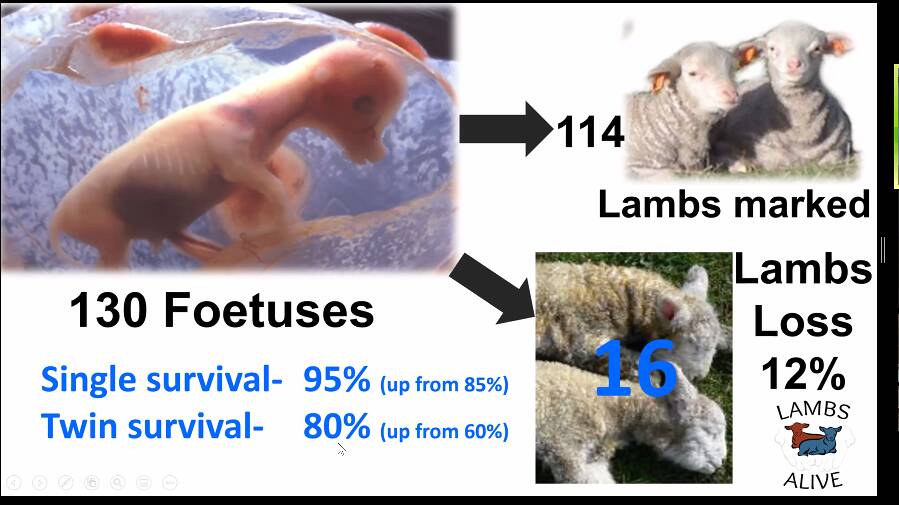 Want more lambs? First look at yourself in the mirror