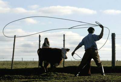 Uruguayan beef has gained re-entry into the high-value Japanese market after a 19-year hiatus.   