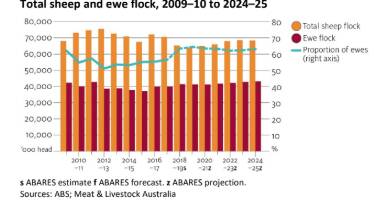 Lamb and mutton prices will peak this year says ABARES